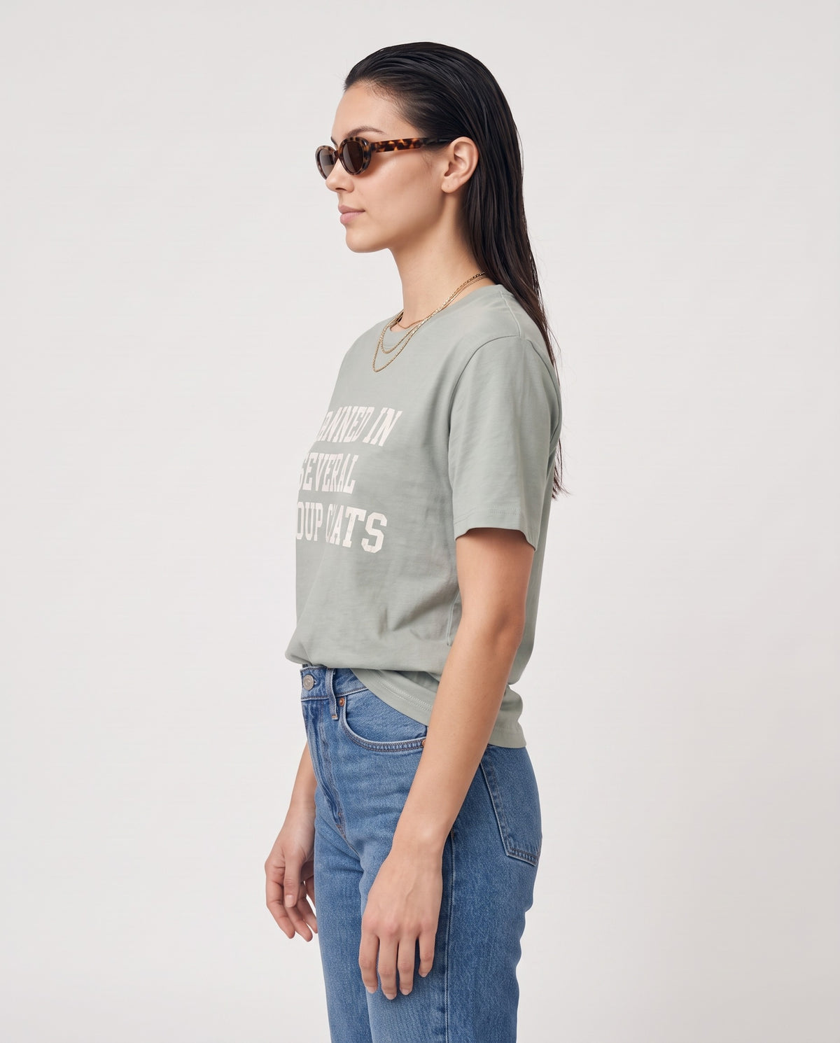 Banned In Several Group Chats Tee · Bean Green